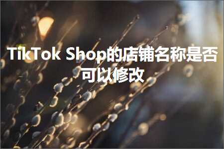 跨境电商知识:TikTokShop的店铺名称是否可以修改