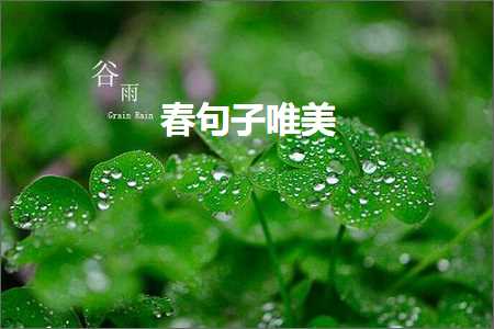 鏄ュ彞瀛愬敮缇庯紙鏂囨142鏉★級