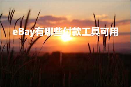 璺ㄥ鐢靛晢鐭ヨ瘑:eBay鏈夊摢浜涗粯娆惧伐鍏峰彲鐢? width=