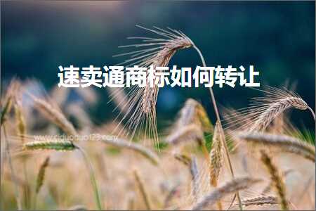 跨境电商知识:速卖通商标如何转让