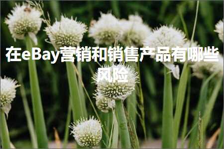 跨境电商知识:在eBay营销和销售产品有哪些风险