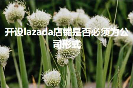 璺ㄥ鐢靛晢鐭ヨ瘑:寮€璁緇azada搴楅摵鏄惁蹇呴』涓哄叕鍙稿舰寮? width=